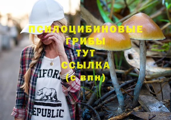 амф Абаза