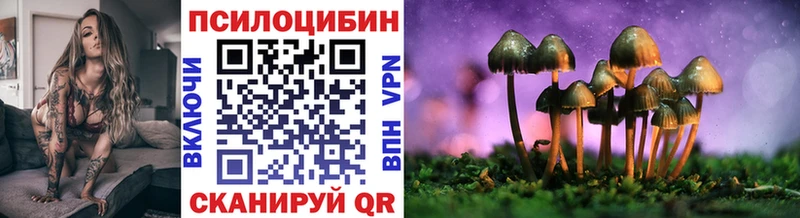 где купить наркоту  Ермолино  Псилоцибиновые грибы ЛСД 